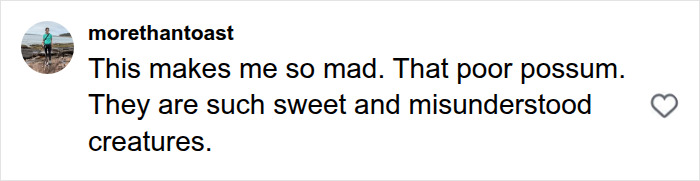 A social media comment expressing anger about a python's discovery and sympathy for the possum it ate. A social media comment expressing anger about a python's discovery and sympathy for the possum it ate.
