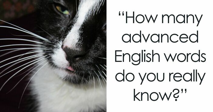 “Do You Have An Incredible Vocabulary?”: Prove It By Matching A Difficult Word To Its Image