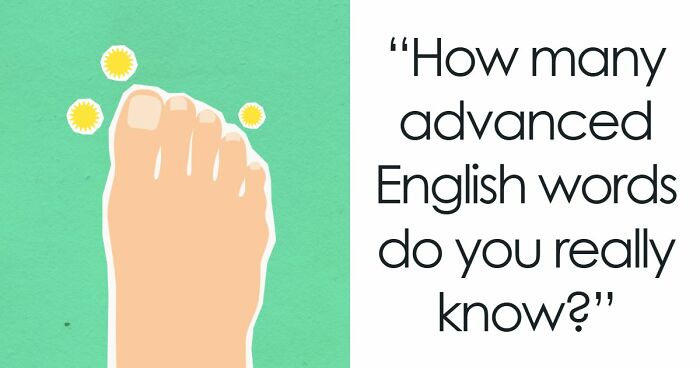 “How Many Advanced English Words Can You Recognize?”: Ace This 15-Question Visual Quiz