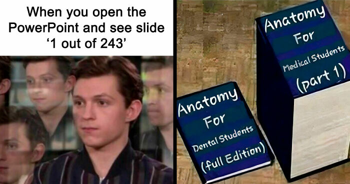 85 Medical Memes That Might Cure Your Bad Mood Faster Than Medicine
