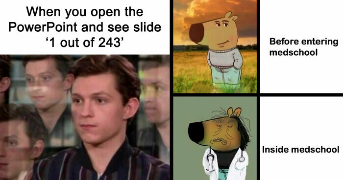 85 Funny Medical Memes That Might Be Just What The Doctor Ordered
