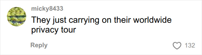 micky8433's comment about Meghan Markle and Prince Harry's worldwide privacy tour.