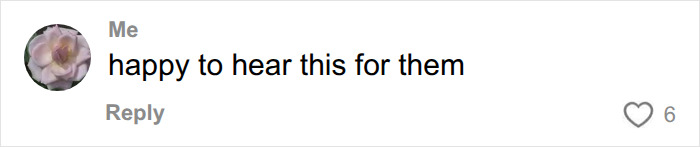 Meghan Markle and Prince Harrys former US neighbors expose them further: a user comment expressing happiness for them.