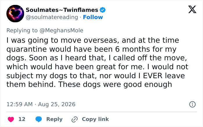 Screenshot of a tweet discussing dogs and moving overseas, related to Meghan Markle's kids' move. Screenshot of a tweet discussing dogs and moving overseas, related to Meghan Markle's kids' move.