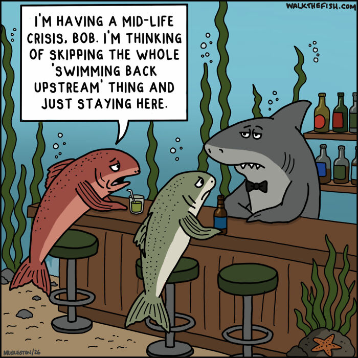 These 30 Single-Panel Cartoons Find The Humor In People Acting Way Too Calm During Absolute Chaos