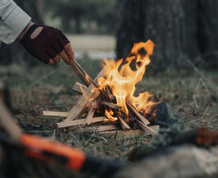A person building a small campfire outdoors, learning skills that can genuinely change their life.