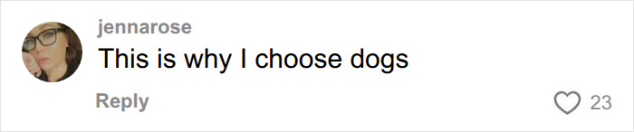 A social media comment supporting dogs over the humiliating moment of making new friends. A social media comment supporting dogs over the humiliating moment of making new friends.