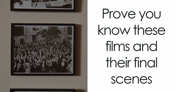 Prove You’re A Real Cinephile By Matching 17 Renowned Ending Scenes To Their Movies