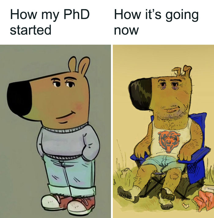 A PhD student meme showing a cheerful cartoon dog transforming into a stressed, disheveled one, depicting the start vs. current state of a PhD.