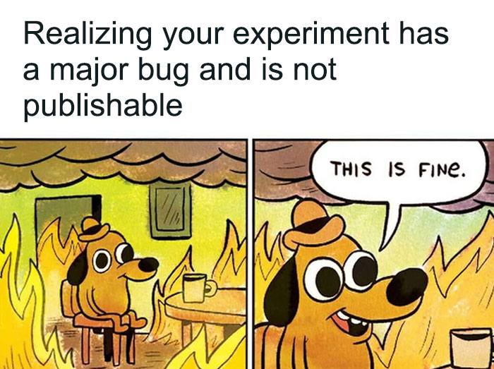 A PhD student meme depicting a dog in a burning room saying 'THIS IS FINE,' representing a major bug in an experiment and thesis not publishable.