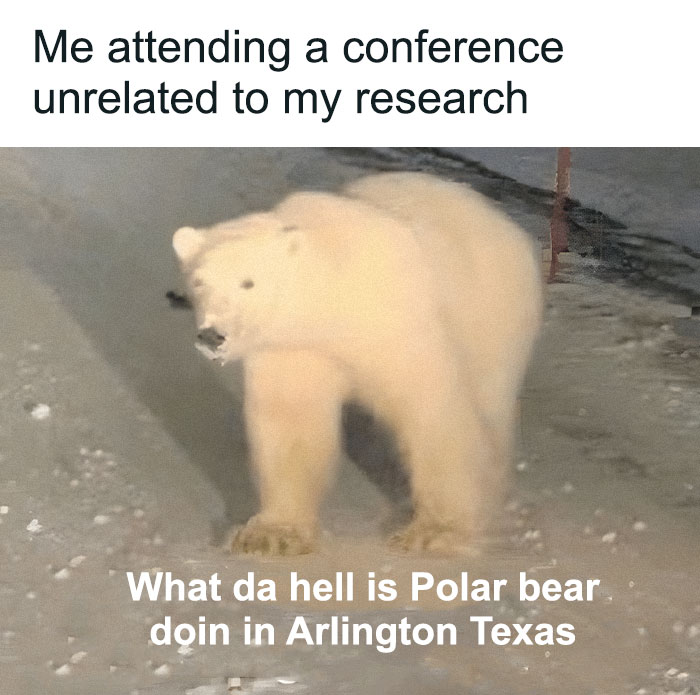 A polar bear in Arlington, Texas, represents a PhD student at an irrelevant conference. A funny PhD meme.