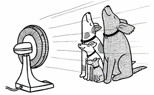 If You’re A Dog Owner, These 25 New “Off The Leash” Cartoons Might Totally Hit Home