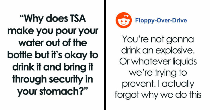 40 People Asked Stupid Questions And Got Even Stupider Answers