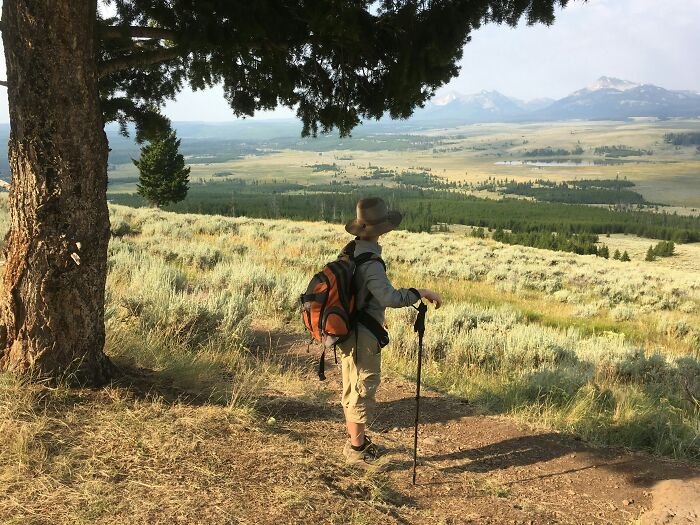 A person with a backpack and hiking poles stands under a tree, overlooking a vast valley and mountains, relating to scary things witnessed.
