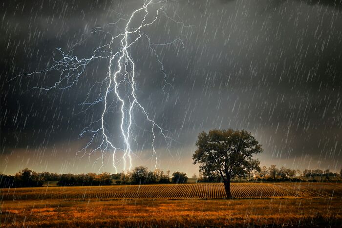 A lightning storm striking a field with rain, depicting one of the scariest things they've had to witness.