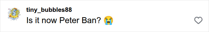 Screenshot of an Instagram comment from 'tiny_bubbles88' asking, 'Is it now Peter Ban?' with a crying face emoji, amidst the Peter Pan Girl viral backlash.