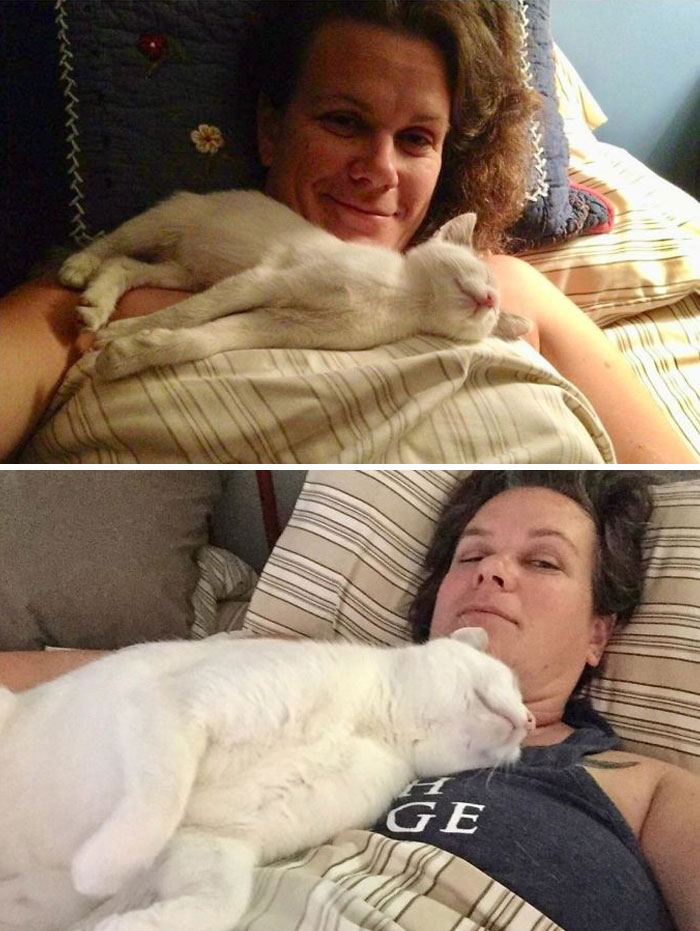 Before and after photos show a rescued pet, a white cat, sleeping on its owner's chest, highlighting pet transformation.