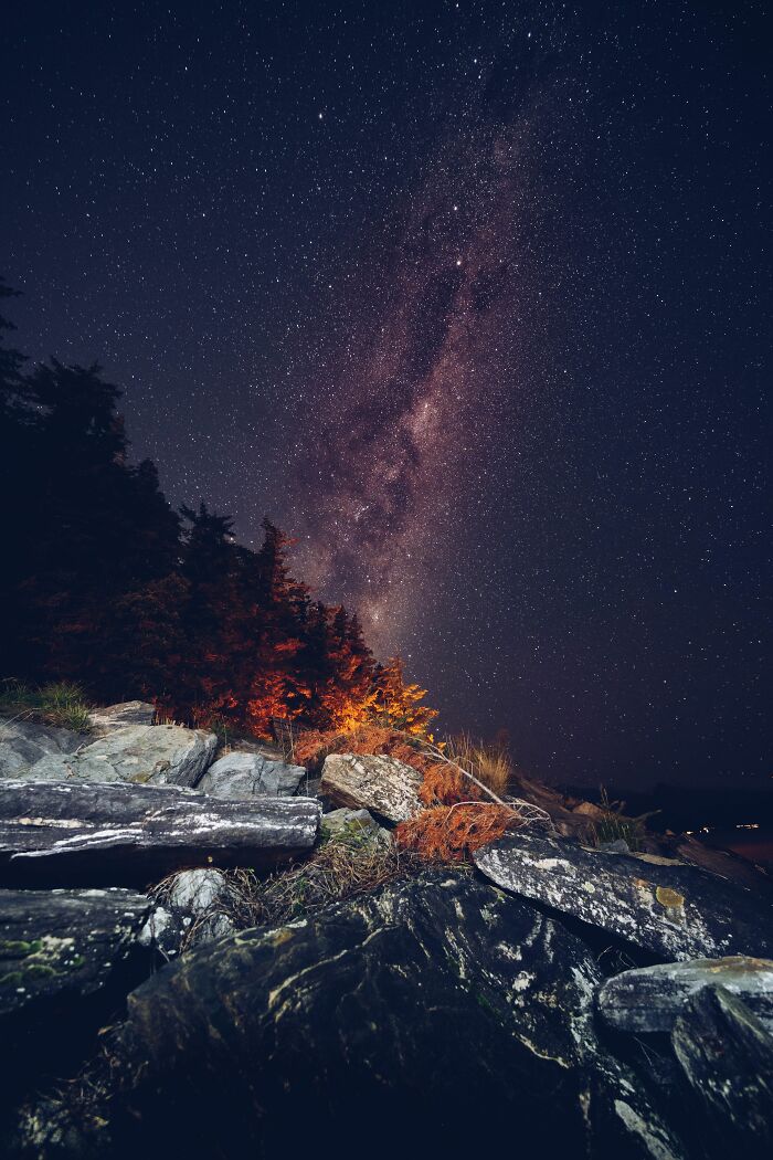 Milky Way galaxy visible in a night sky above trees and rocks, perhaps relating to cosmic misconceptions.