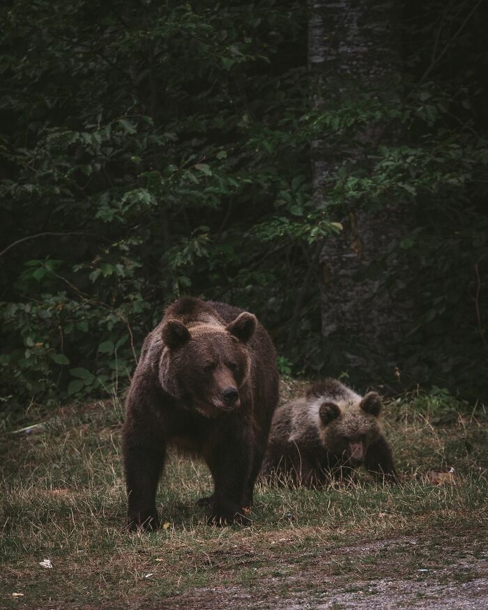 48 Campers Share The Creepiest Things They've Ever Experienced