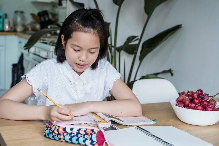 A young girl focused on her schoolwork, diligently answering questions with a pencil and notebook, a bowl of grapes nearby.