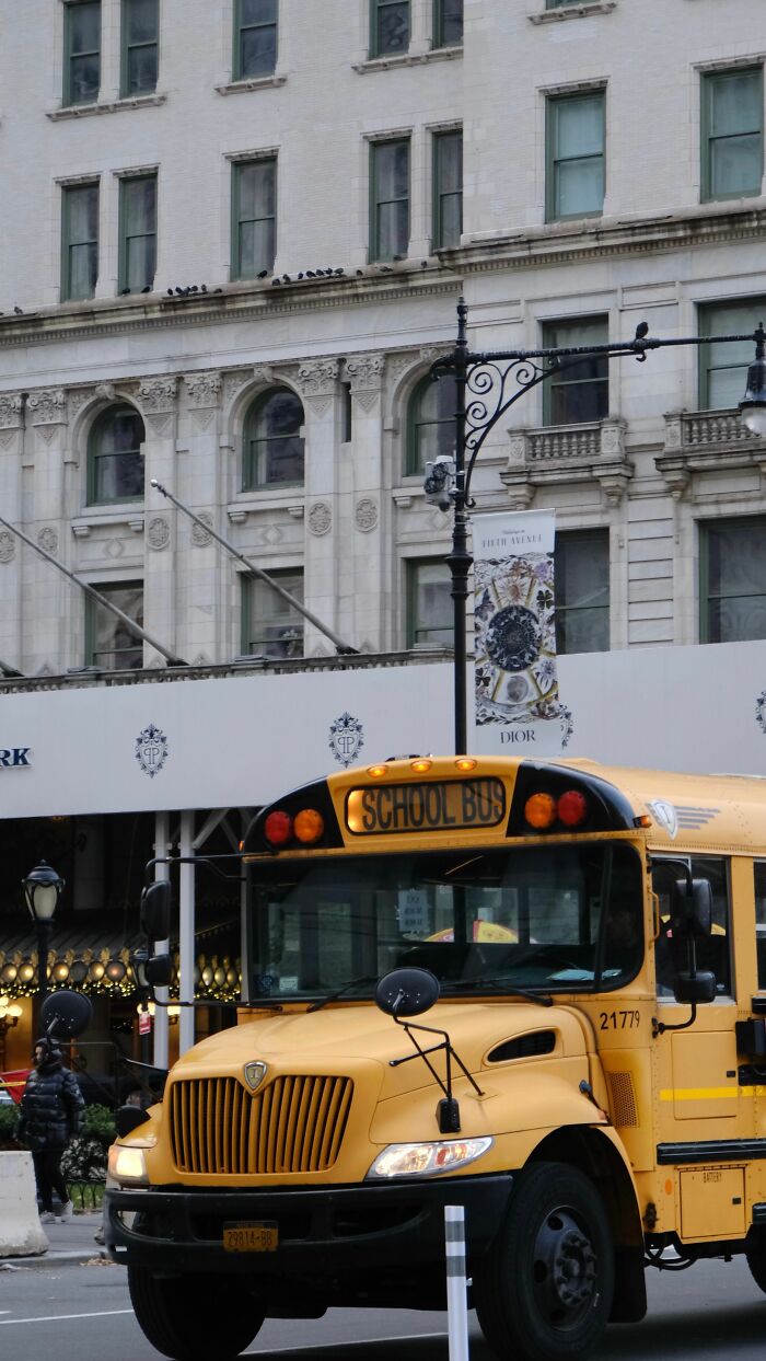 A yellow school bus drives through a city street, a familiar sight for newcomers in America.