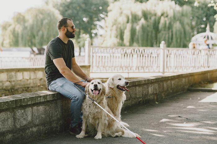 A man with two golden retrievers sitting by a park pathway, representing the pet-friendly culture in America that can surprise newcomers.