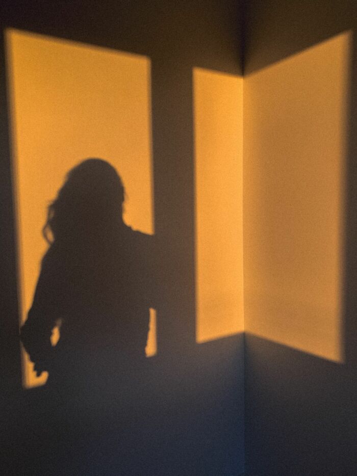 Silhouette of a person with wavy hair against a wall with window shadows, suggesting a scary true story.