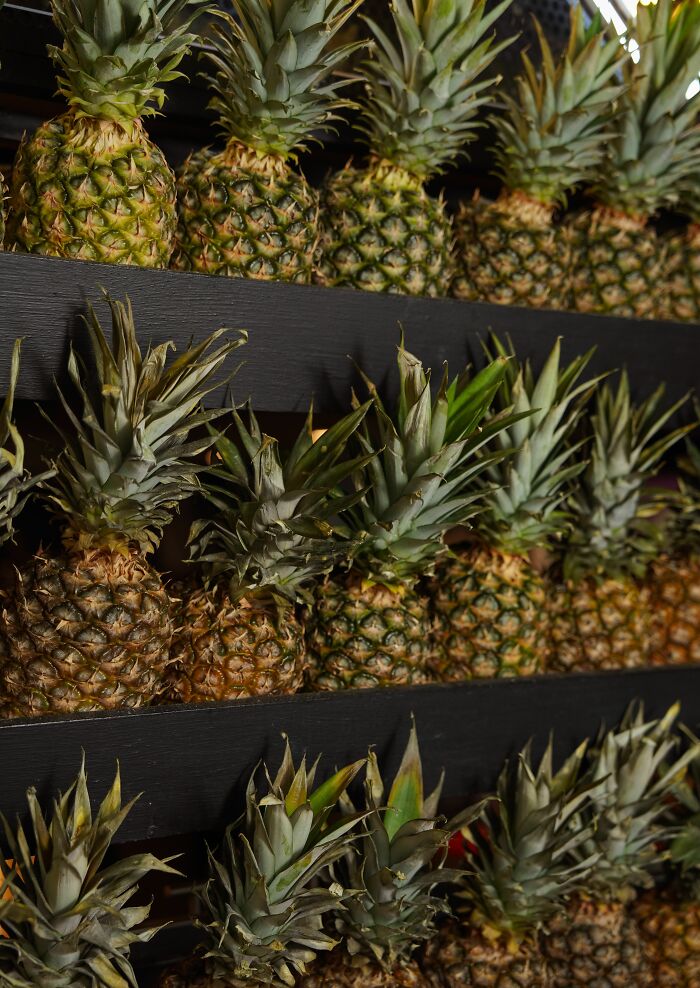 Rows of fresh pineapples displayed, showcasing the variety of produce available that might surprise newcomers in America.