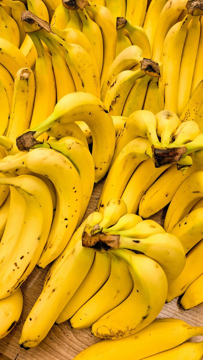 A pile of yellow bananas, learning something new about fruits and facts.
