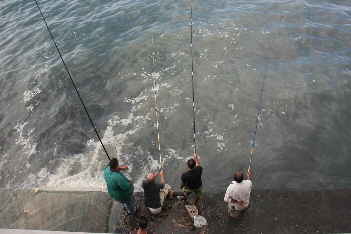 Men fishing by the water, representing a story where an employee's actions were enough to get fired.