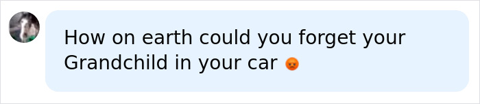 A social media comment asking, How on earth could you forget your Grandchild in your car, referencing the baby granddaughter. A social media comment asking, How on earth could you forget your Grandchild in your car, referencing the baby granddaughter.