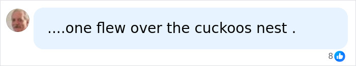 A comment about the woman vandalizing the WWII Memorial, referencing a cuckoos nest.