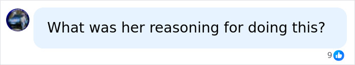 A social media comment asking about the reasoning behind the woman vandalizing WWII Memorial.