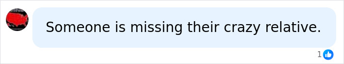 A comment about the woman vandalizing the WWII Memorial, suggesting someone is missing their crazy relative.