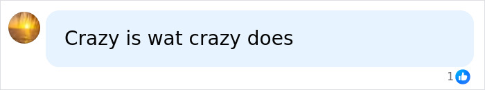 A social media comment saying 'Crazy is what crazy does' in response to a woman vandalizing a WWII Memorial and facing karma.