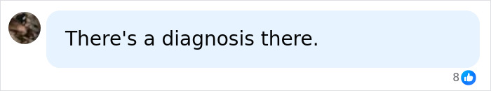 A comment bubble reads, 'There's a diagnosis there,' reflecting public opinion on the woman vandalizing the WWII Memorial.