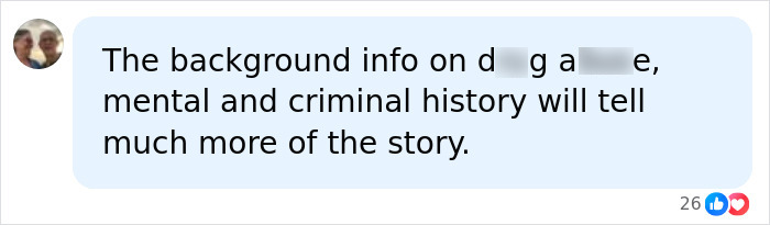 A social media comment suggesting to look into the woman's mental and criminal history after vandalizing WWII Memorial.