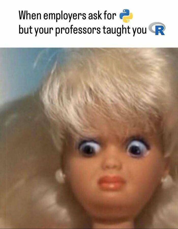 A stats class meme featuring a surprised doll, representing the conflict of learning R when Python is required.