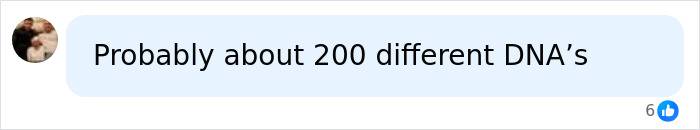 A comment about Bonnie Blue's scandalous pregnancy, speculating about the child's DNA. A comment about Bonnie Blue's scandalous pregnancy, speculating about the child's DNA.