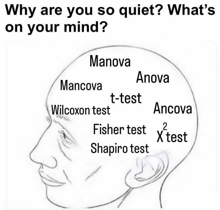 A meme with a person's head outline, showing various stats class concepts like Manova, Anova, and t-test.
