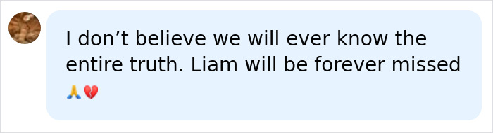 A social media comment speculating about the full truth of Liam Payne's final hours. A social media comment speculating about the full truth of Liam Payne's final hours.