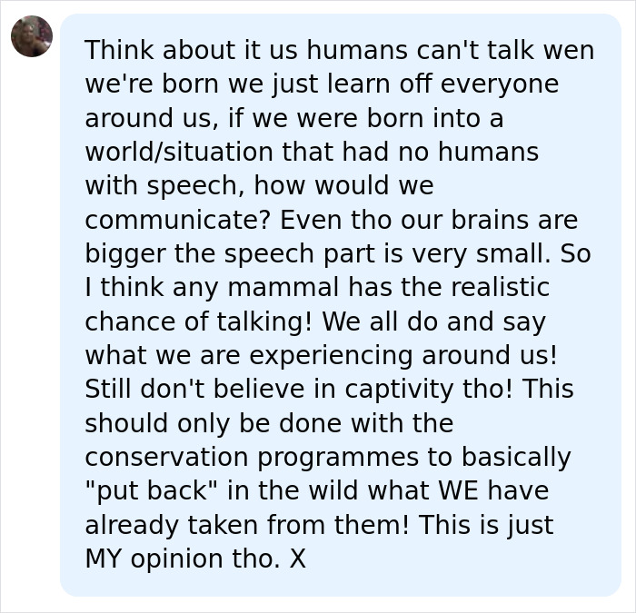 Orcas Prove Their Outstanding Cognitive Abilities Once More, Trying To Imitate Simple Human Words Orcas Prove Their Outstanding Cognitive Abilities Once More, Trying To Imitate Simple Human Words