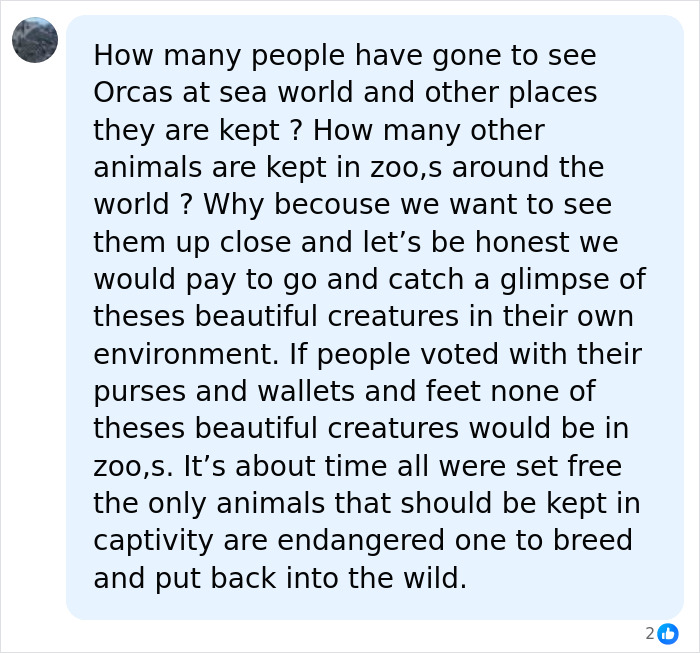 Orcas Prove Their Outstanding Cognitive Abilities Once More, Trying To Imitate Simple Human Words Orcas Prove Their Outstanding Cognitive Abilities Once More, Trying To Imitate Simple Human Words
