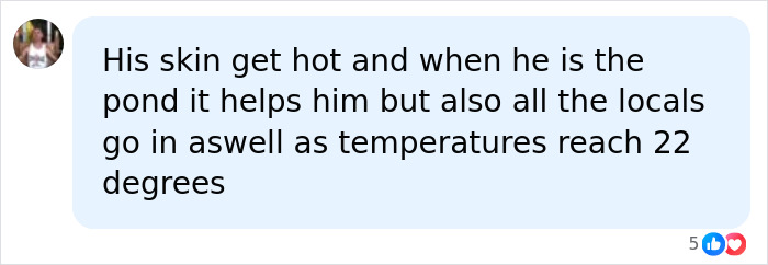 A social media comment explaining that the pond helps the teen with his condition when his skin gets hot due to high temperatures.