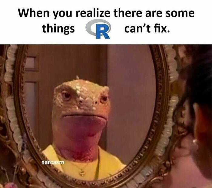 A statistics meme featuring a lizard looking in a mirror, implying R cannot fix all problems.