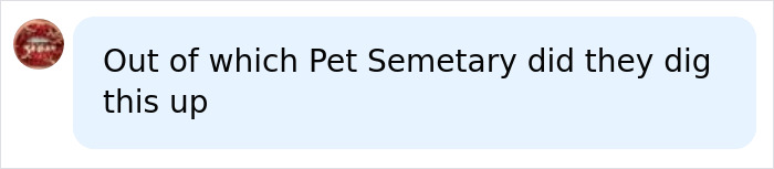 A comment on the Zombie Angelina Jolie image, saying: Out of which Pet Semetary did they dig this up.