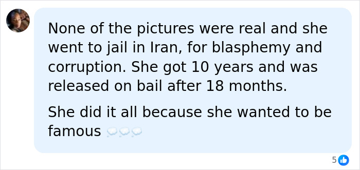 A comment explaining that the pictures of the Iranian Woman, Zombie Angelina Jolie, were an illusion and she sought fame.