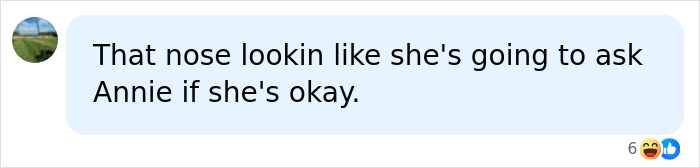 A comment on social media about the nose of the Iranian Woman, known as Zombie Angelina Jolie, asking if she is okay.