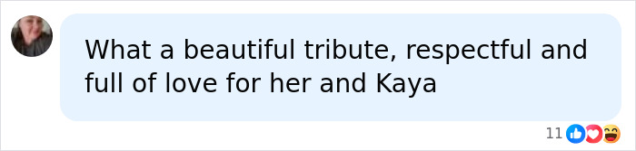 A social media comment about Hayden Panettiere's tragic passing and the beautiful tribute for her and Kaya. A social media comment about Hayden Panettiere's tragic passing and the beautiful tribute for her and Kaya.