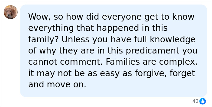 Screenshot of a comment about the complexity of family dynamics for King Charles and Prince William. Screenshot of a comment about the complexity of family dynamics for King Charles and Prince William.